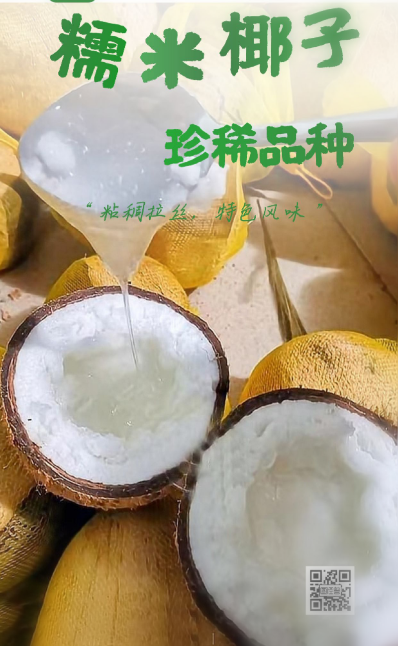 糯米椰子粘稠拉丝椰子中的爱马仕泰国糯米椰子新鲜四季热带水