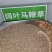 柳叶马鞭草种子多年生宿根花卉种子景观绿化花海婚纱摄影观花