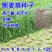 进口牧草种子多年生黑麦草种子四季播耐寒高产猪牛羊兔鸡鹅鱼