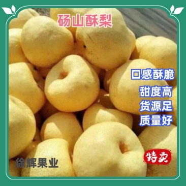 砀山酥梨/五两以上/果面干净/汁多甘甜/欢迎电话咨询有优惠
