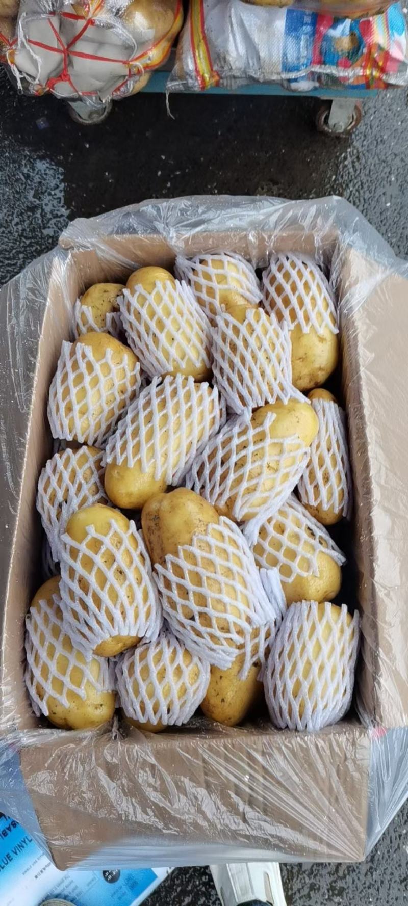 精品土豆，荷兰十五土豆，供应中。物流全国。产地直发。