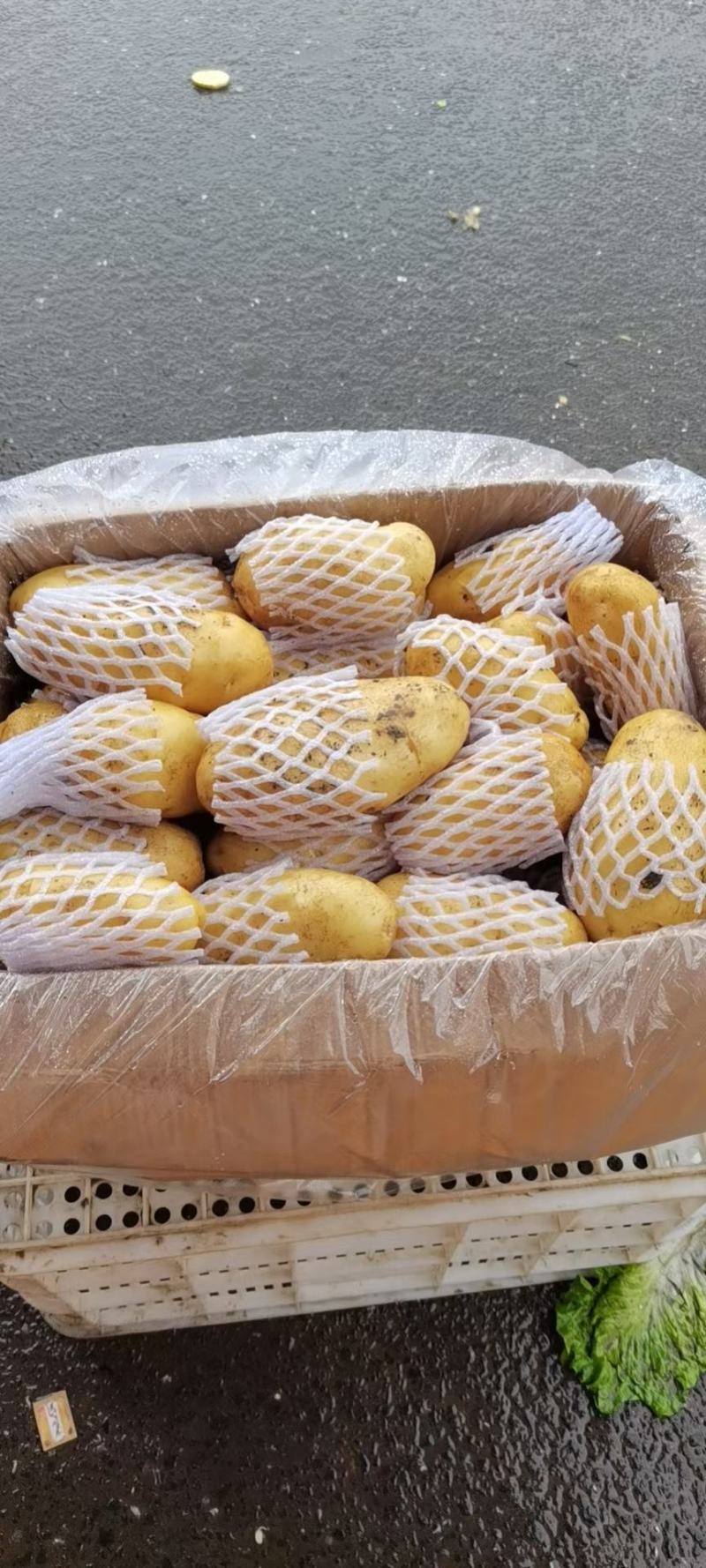 精品土豆，荷兰十五土豆，供应中。物流全国。产地直发。