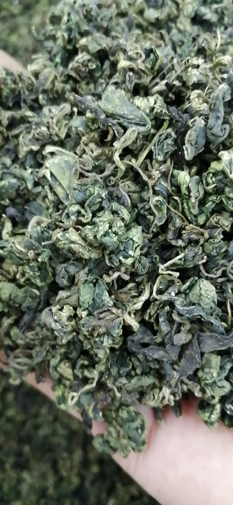 绞股蓝绞股蓝球无硫***精挑细选绞股蓝茶批发零售各种规格