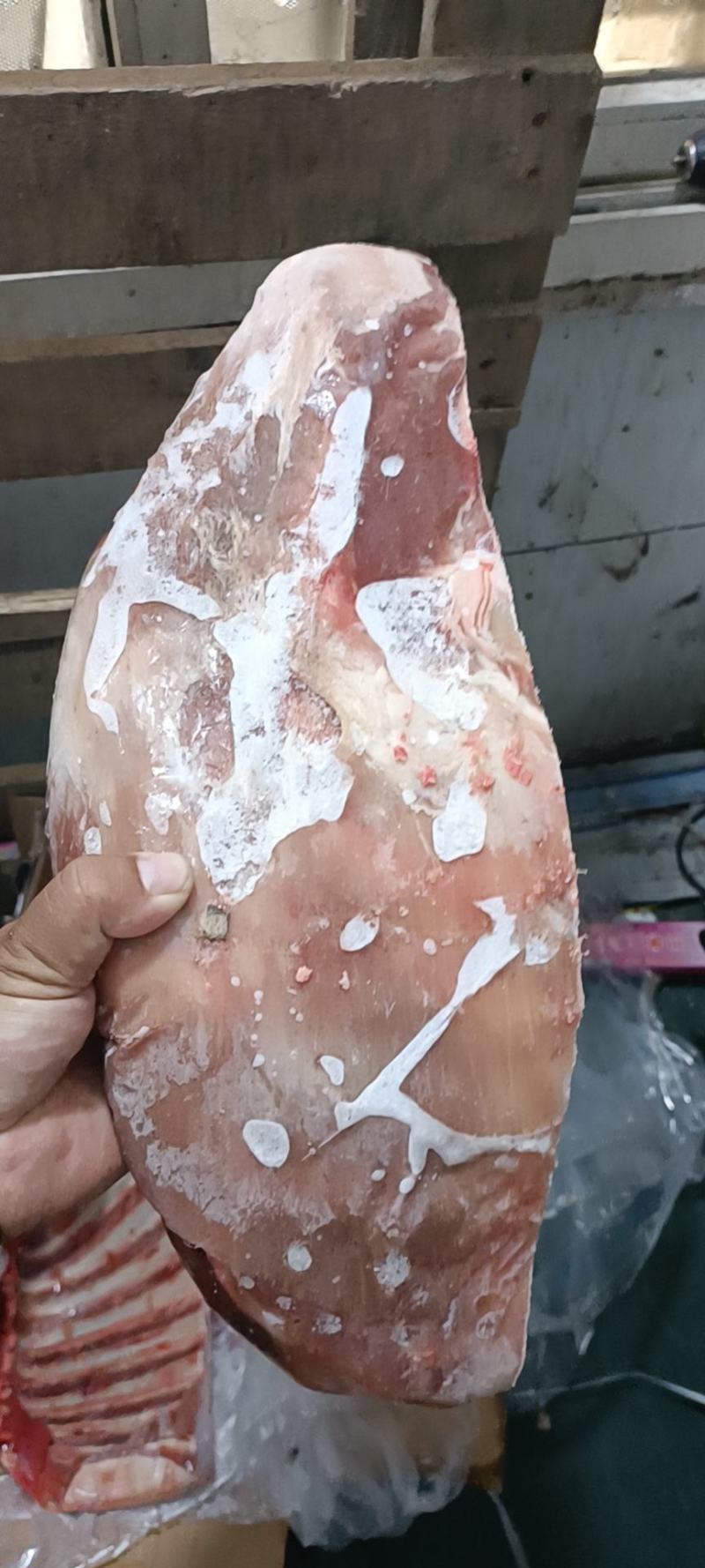 内蒙羔羊排，瘦度高，质量好，一手货源，全国冷链发货