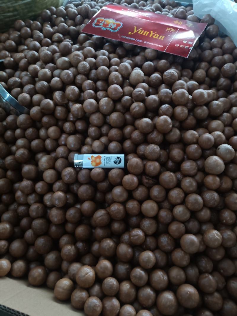 云南普夏威夷果_原味_未开口