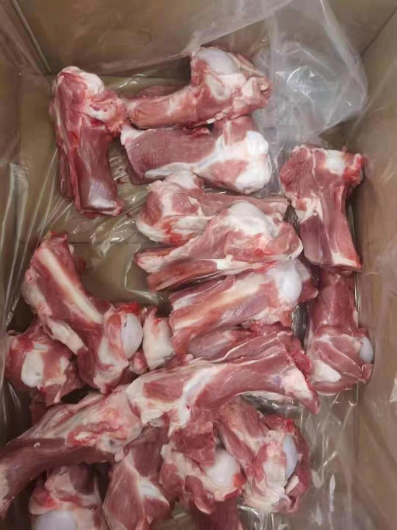 2309肱骨，羔羊肱骨，肉多质量好，一手货源，量大从优
