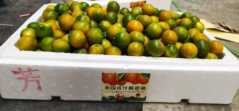 柑橘，广西桂林阳朔金桔