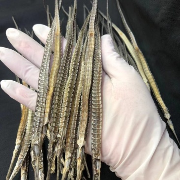 6角独龙，6角独龙，6角独龙，6角独龙，6角独龙