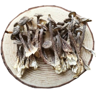 三明鹿茸菇野生优质菌菇产地直发烘干发货质量好