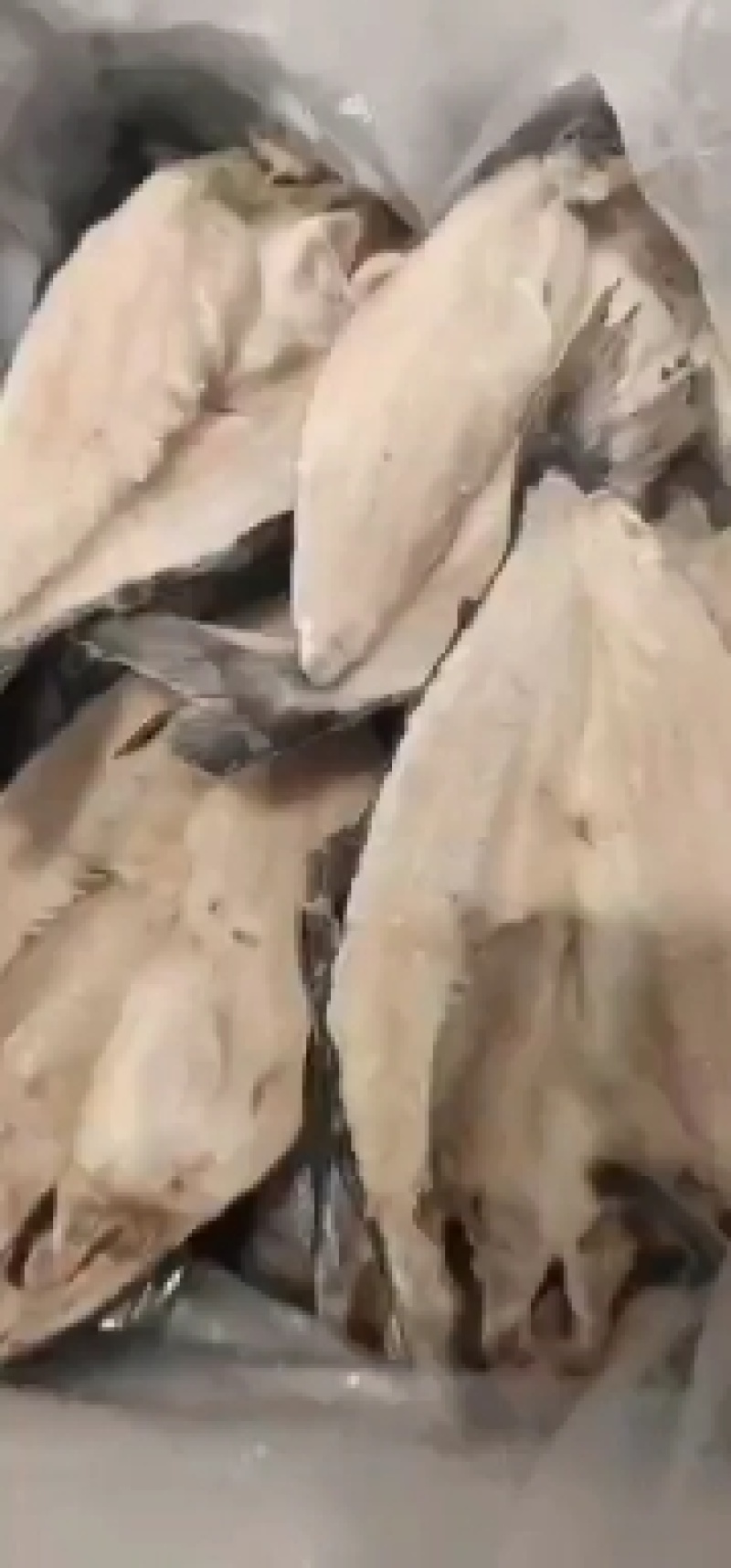 开背巴沙鱼，鱼柳