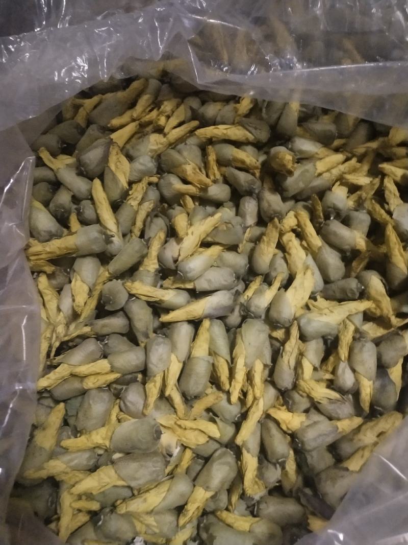 金花葵