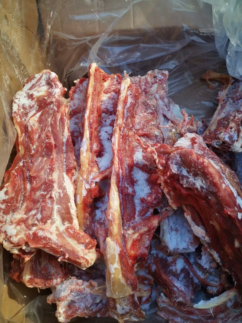 多肉羊蝎子50斤起售量大从优质量保障诚信为本视频看货