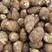 山东优质沙土地8520芋头保质保量量大从优全国发货