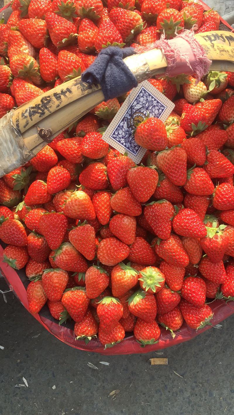安徽省长丰红颜草莓现在大量上市中，货量大，好运输，欢迎您
