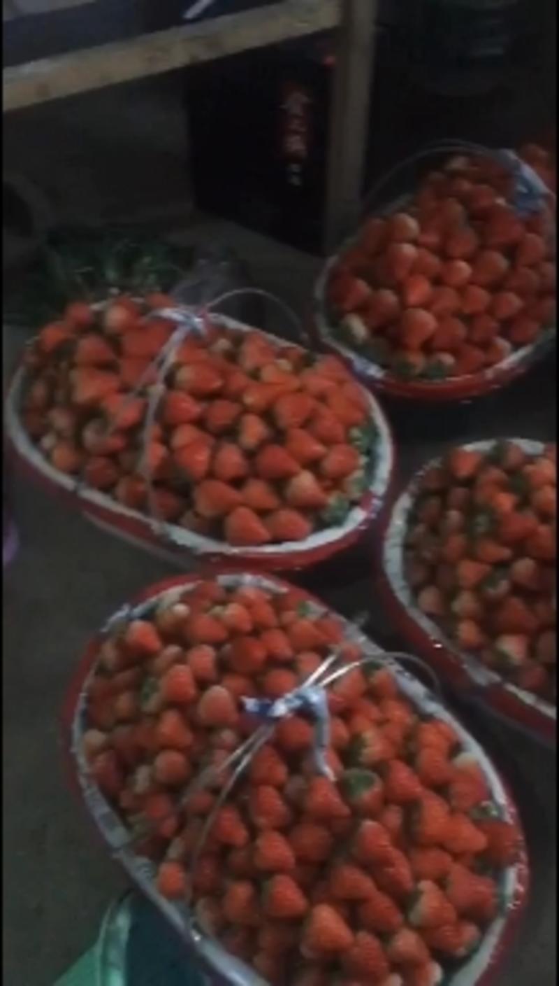 安徽省长丰红颜草莓现在大量上市中，货量大，好运输，欢迎您