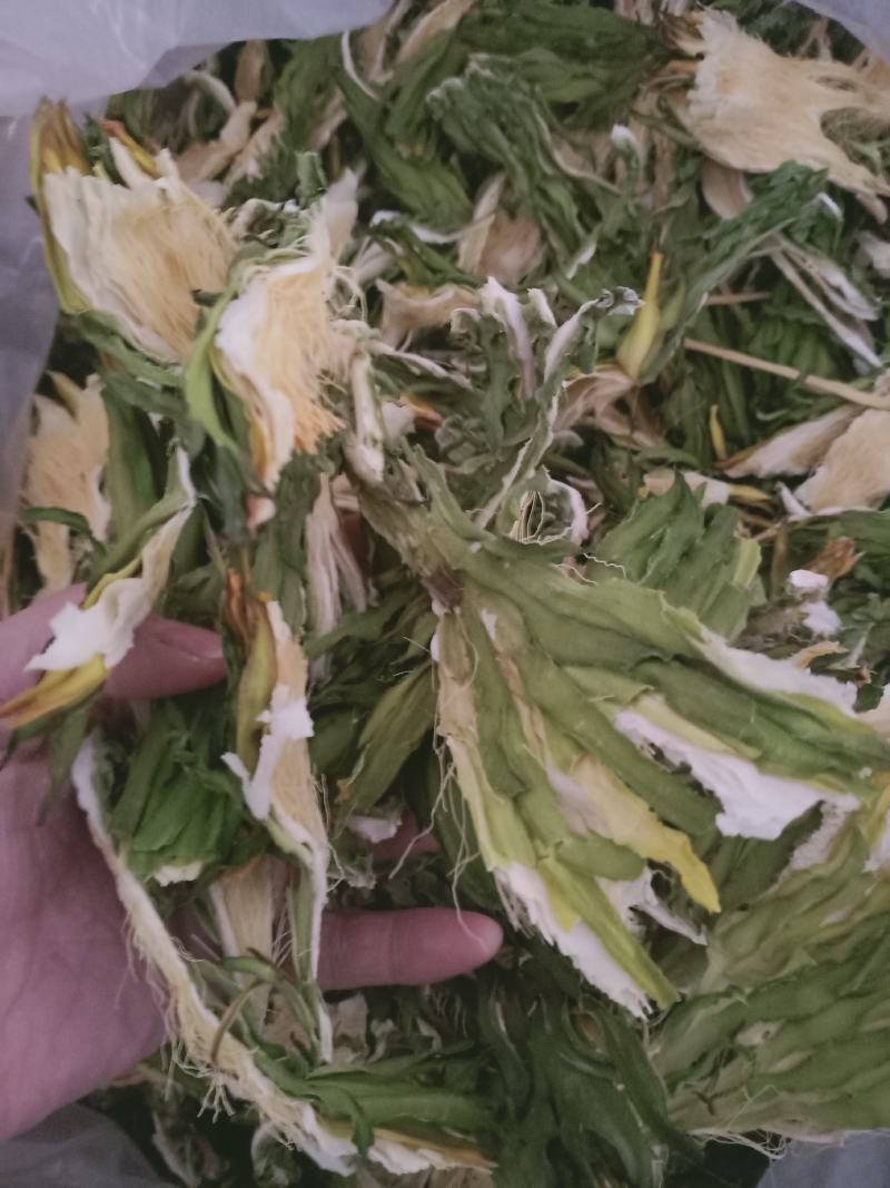 霸王花，霸王花无硫新货质量保证，经营各种中药材欢迎咨询选