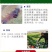 辣椒专用有机水溶肥膨大拉长拉直三不落稳花增果辣椒苗肥通用