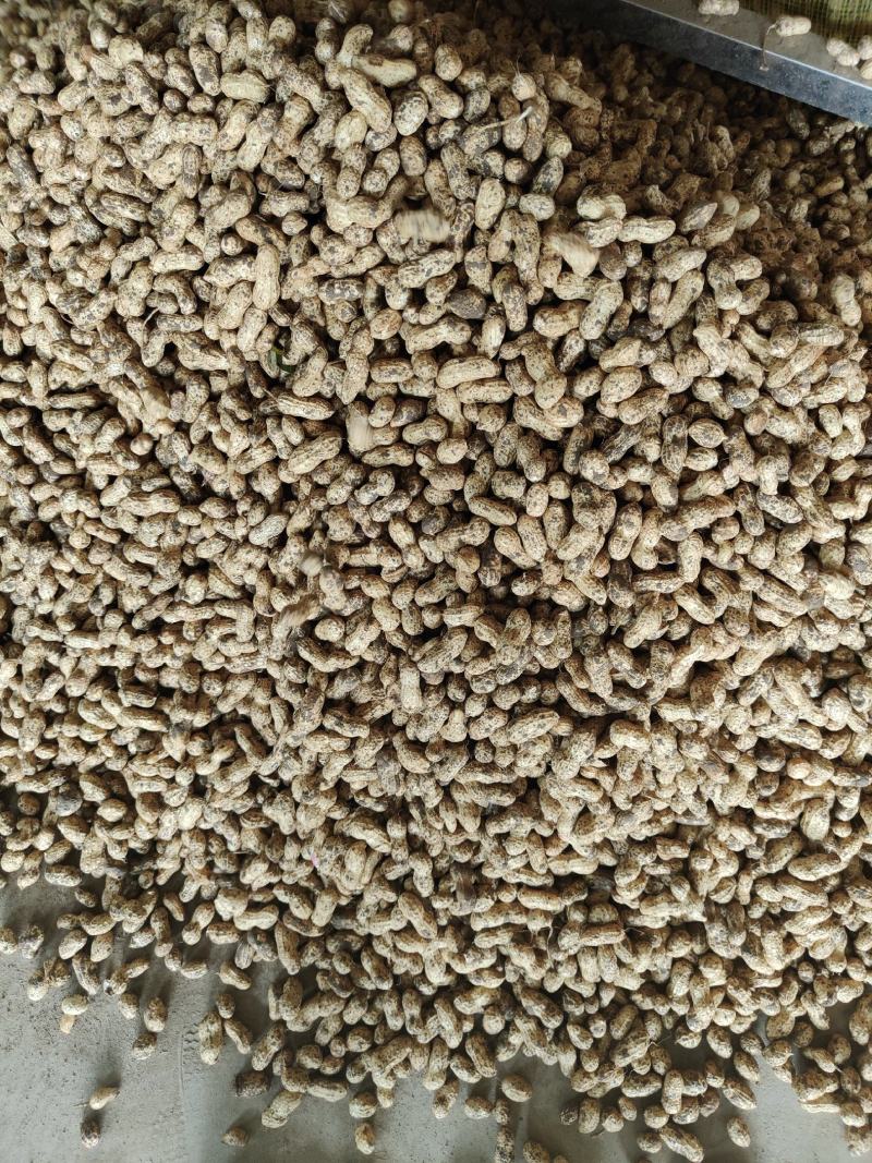 鲜花生小白沙罗汉果，鲁花中白沙电商，超市，市场加工厂
