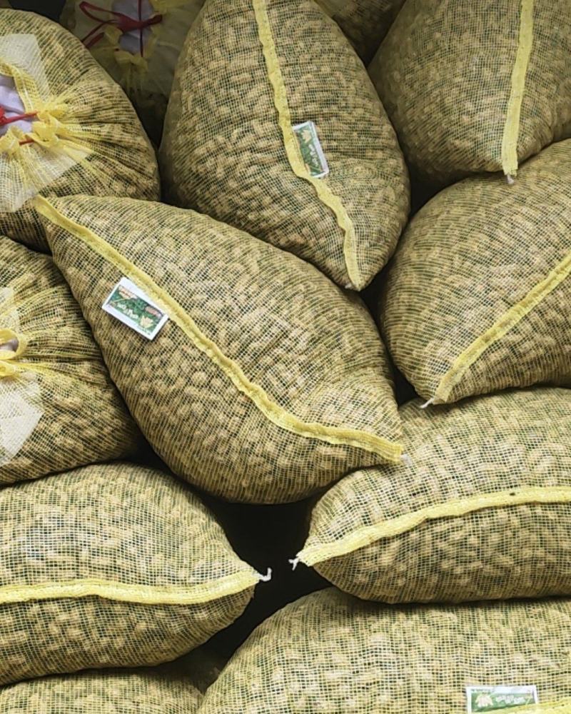 小白沙鲜花生大白沙小鲁花湿花生大量批发市场电商档口加工厂