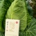 鸡心甘蓝牛心甘蓝尖尖莲白