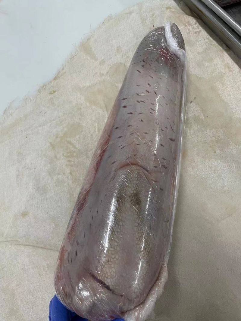 调理牛舌正在加工中，厂家直销，