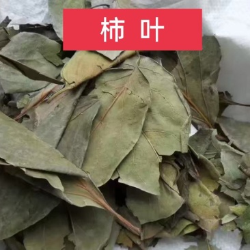 柿叶，柿子叶新货质量保证，经营各种中药材欢迎咨询选购！