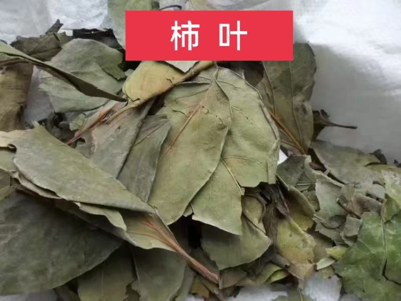 柿叶，柿子叶新货质量保证，经营各种中药材欢迎咨询选购！