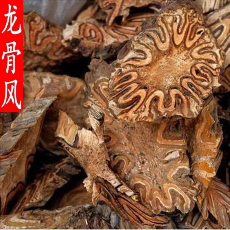 野生龙骨风切片晒干货不多促销当天发货薄利多发
