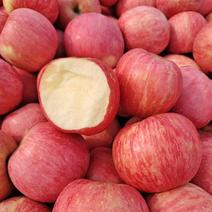 红富士苹果山东优质苹果产地现货一手货源
