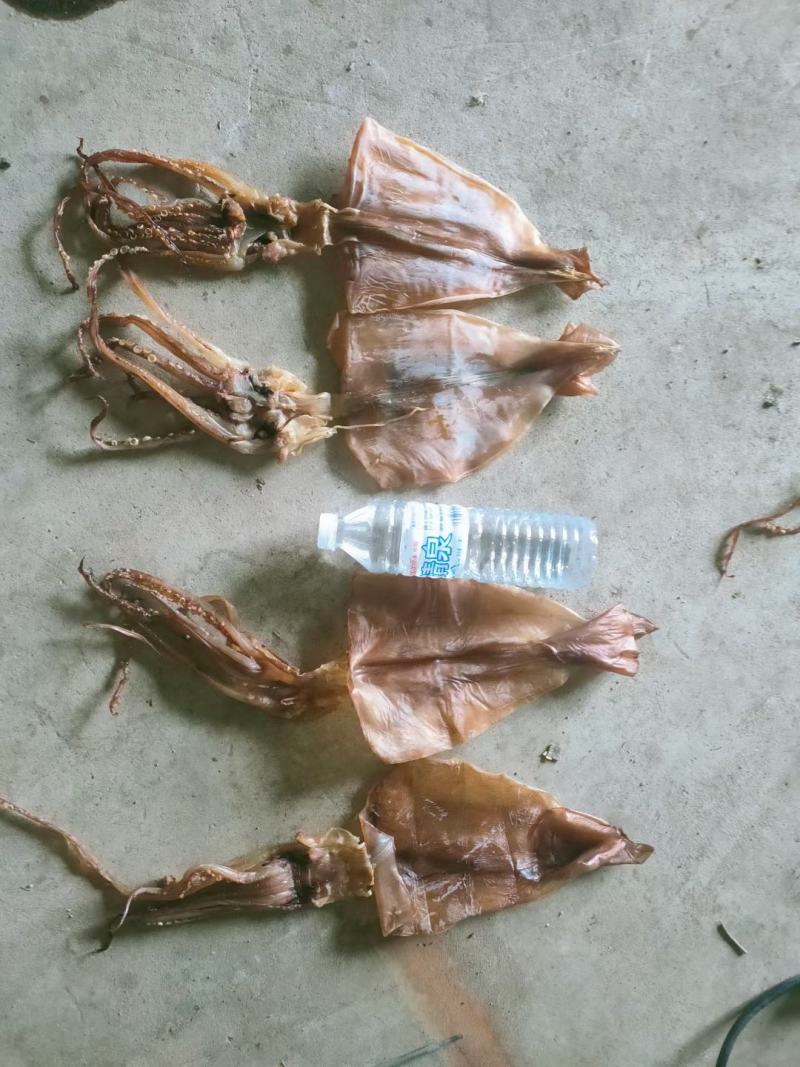 北海三号鱿鱼干，生吃烧烤都可以，价格美丽。