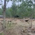 散养土鸡蛋绿壳鸡蛋湖北土鸡蛋新鲜发货,双色混装