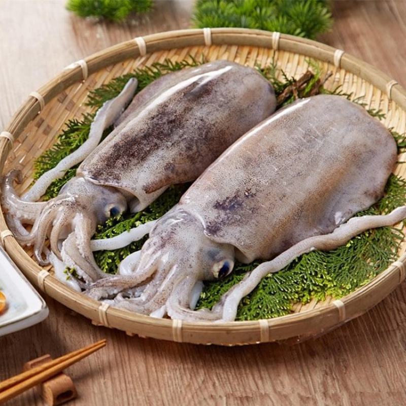 海螵蛸，也叫墨鱼骨，价格美丽，一手货源，价格优惠，