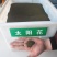 太阳花种子