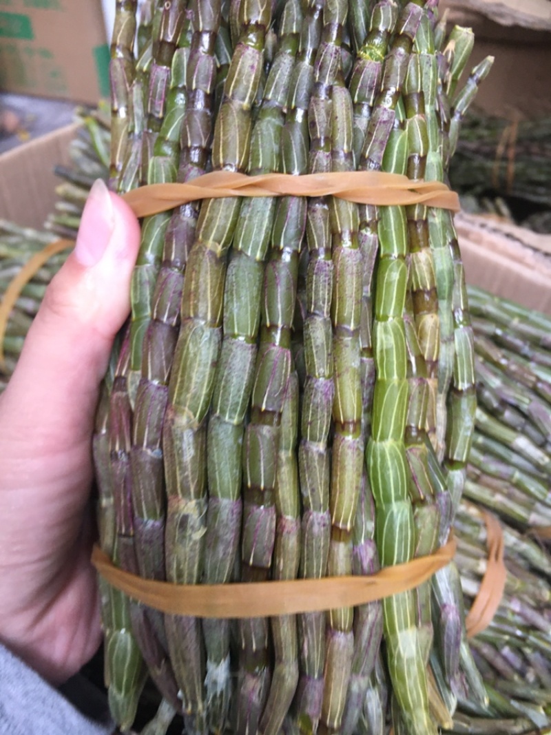 铁皮石斛鲜条胶质好条粗一捆一斤两斤包邮