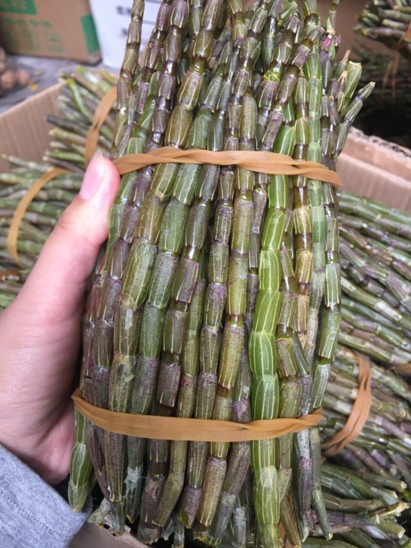 铁皮石斛鲜条胶质好条粗一捆一斤两斤包邮