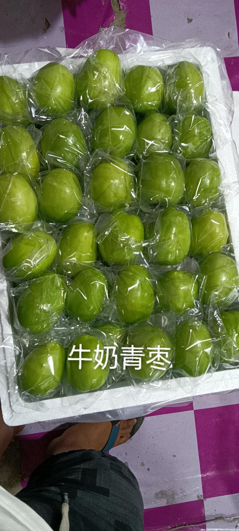 【原产地直销】精品青枣大量上市，精品大中小果，支持一件代
