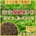 进口将军菊苣种子大叶菊苣多年生四季牧草种子猪牛羊鸡鸭鹅鱼