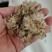勋章菊种子四季花种子非洲太阳花菊花阳台庭院盆栽花卉种籽