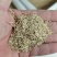 鸭茅种子耐阴耐热耐寒果园草种林间种草牛羊猪兔牧草种