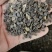 重瓣蜀葵花种子盆栽花苗一丈红易活易种室外阳台春天播种花种