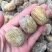 蜜枣甜新货品像颜色漂亮质量口感好