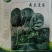 菠菜种子新品种四季耐寒耐热大叶菠菜籽种子批发阳台盆栽南方