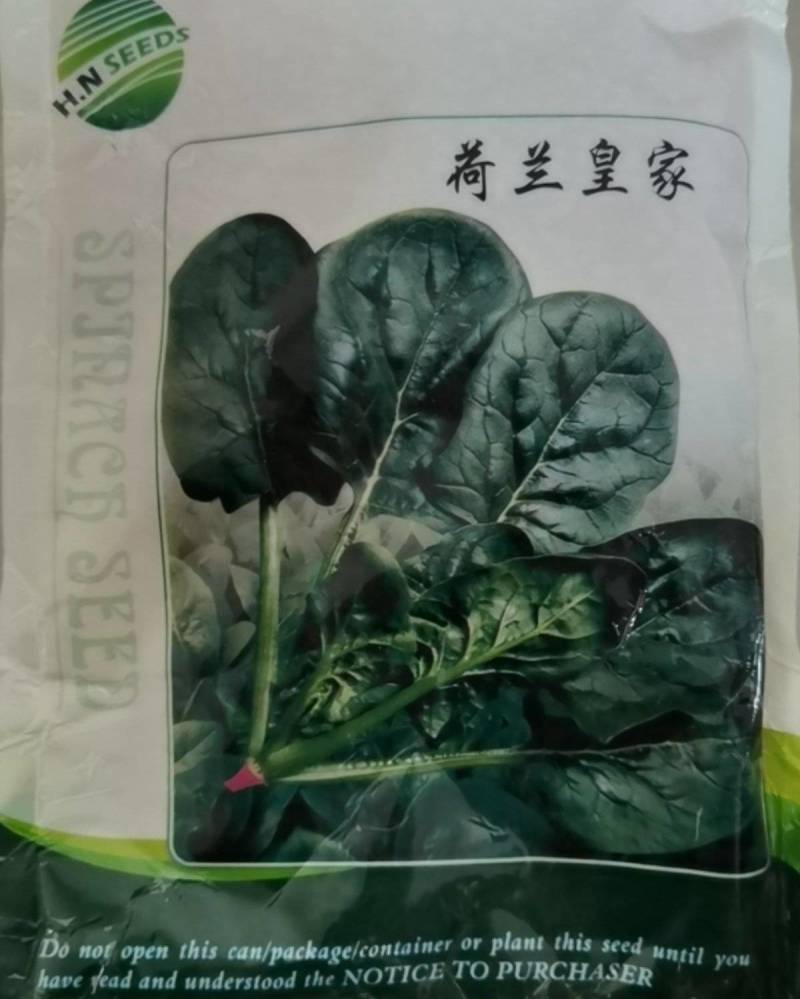 菠菜种子新品种四季耐寒耐热大叶菠菜籽种子批发阳台盆栽南方