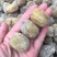 蜜枣甜新货品像颜色漂亮质量口感好