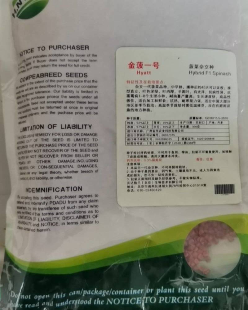 菠菜种子新品种四季耐寒耐热大叶菠菜籽种子批发阳台盆栽南方