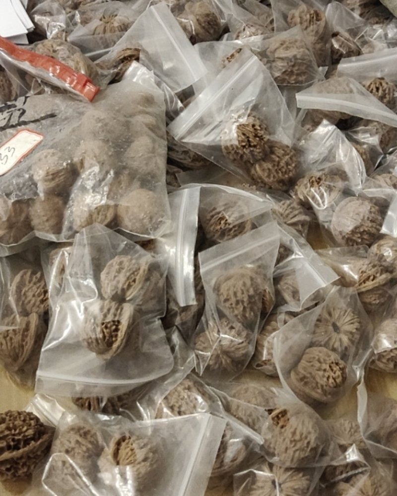 四座楼，满天星，苹果园，白狮子，水龙纹，宫灯，蛤蟆头官帽