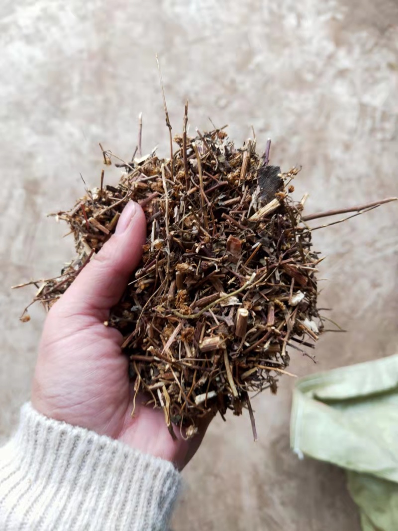 野菊花