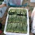 【实力代收】【精选菠菜】大叶菠菜山东产地直发全国市场