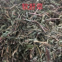 软肝草。铁甲草正品野生质量保证，经营各种中药材！