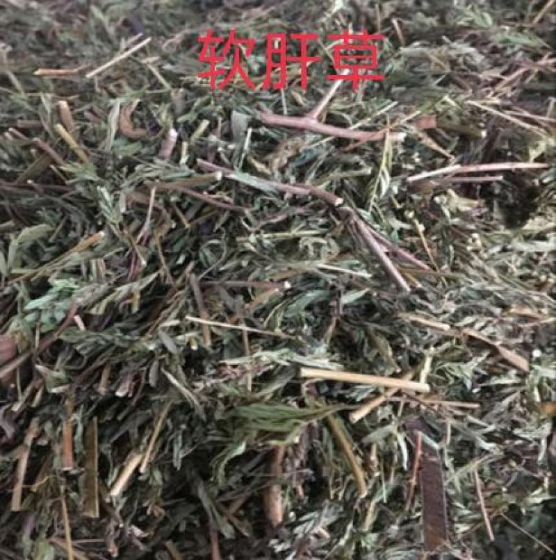 软肝草。铁甲草正品野生质量保证，经营各种中药材！